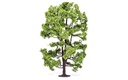 Albero di acacia