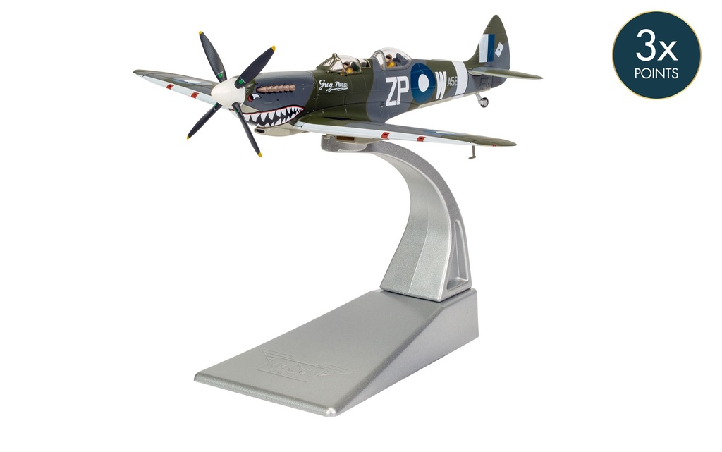 Supermarine Spitfire T.9 'Grey Nurse'- TE308 - Biggin Hill Heritage Hangar