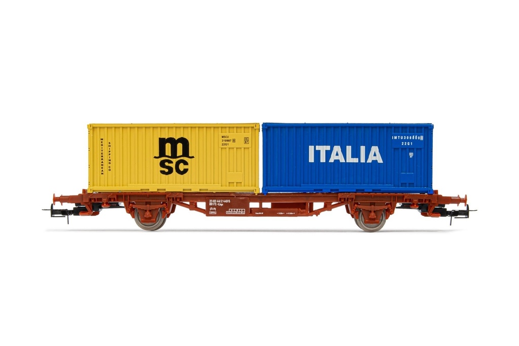 FS, carro con container