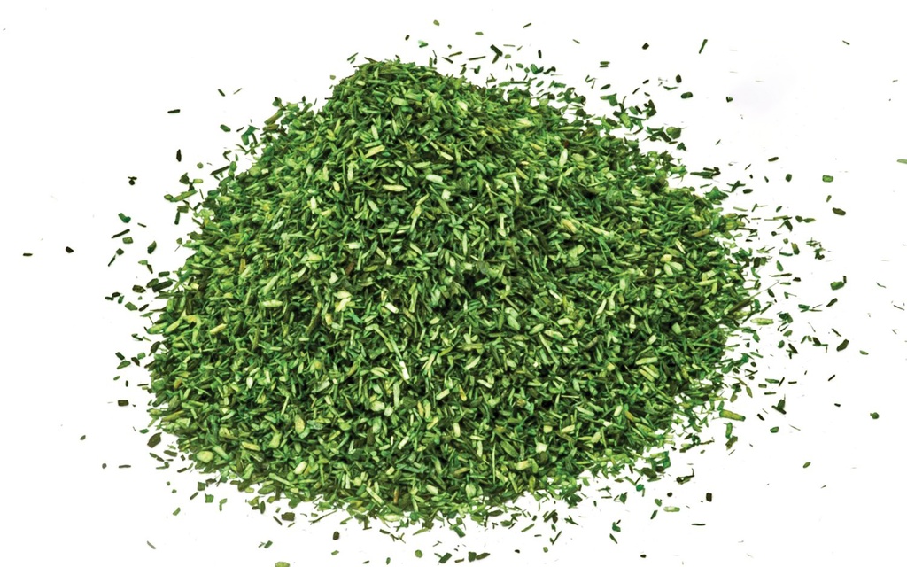 Scatter - Dark Green