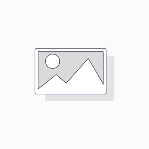 Viseras